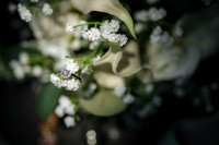 WEDD T + S00014