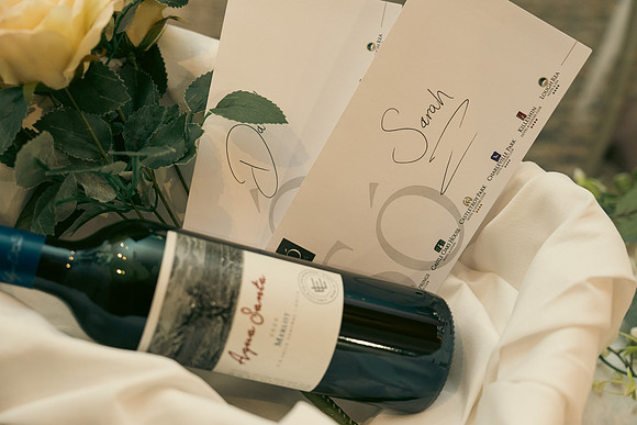 David & Sarah-119