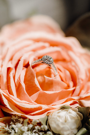 WEDD-8