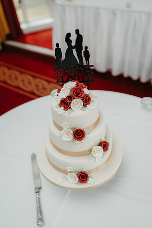 Wedd-261
