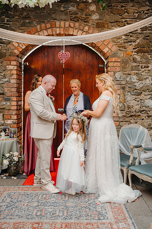 WEDD A + S-P-320
