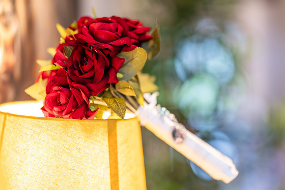 Levina&Andrew-28