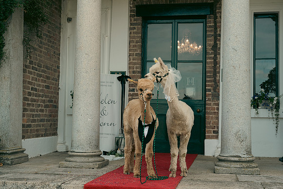 Helen & Fionn-824