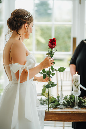 WEDD-537