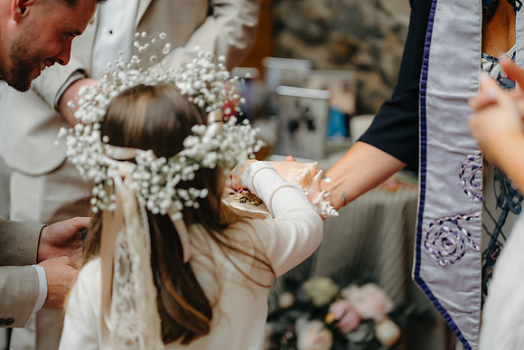 WEDD A + S-P-311