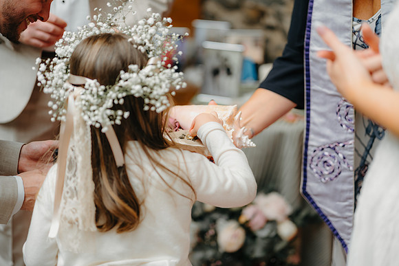 WEDD A + S-P-310