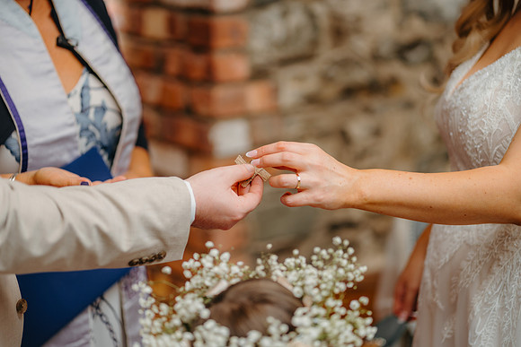 WEDD A + S-P-338