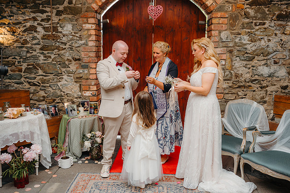WEDD A + S-P-330