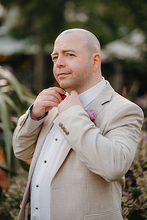WEDD A + S-P-662