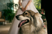 Angelika & Luis-20