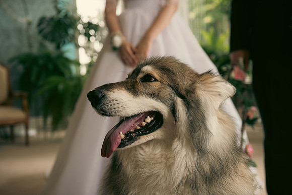 Angelika & Luis-20