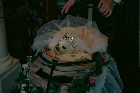 Angelika & Luis-58