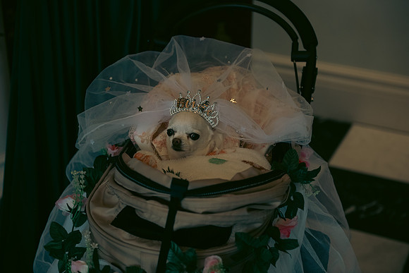 Angelika & Luis-59