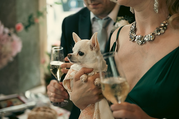 Angelika & Luis-153