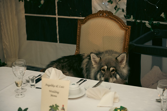 Angelika & Luis-490