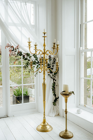 WEDD-77