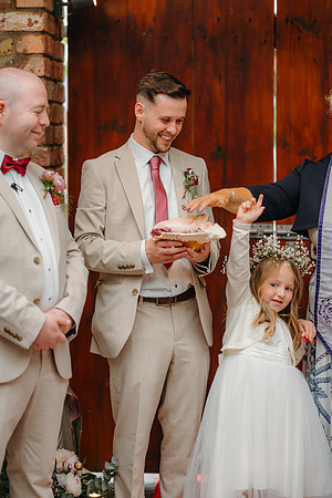 WEDD A + S-P-313