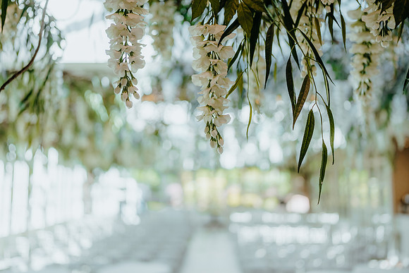 WEDD E+ A-6