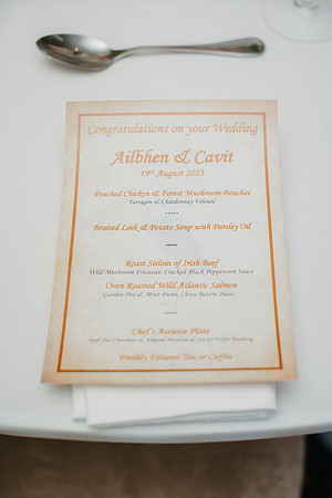 Ailbhen  Cavit Wedd-476