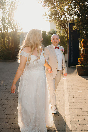 WEDD A + S-P-607