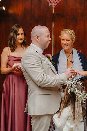 WEDD A + S-P-317