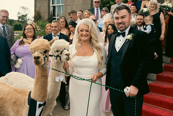 Helen & Fionn-709
