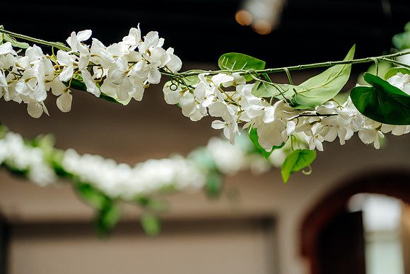WEDD A + S-P-87