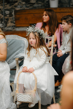 WEDD A + S-P-223