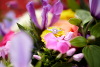 Michael & Emma-15