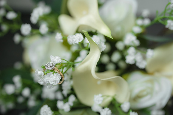 WEDD T + S00012