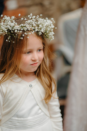 WEDD A + S-P-337
