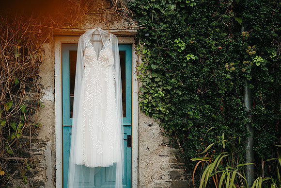 WEDD-3