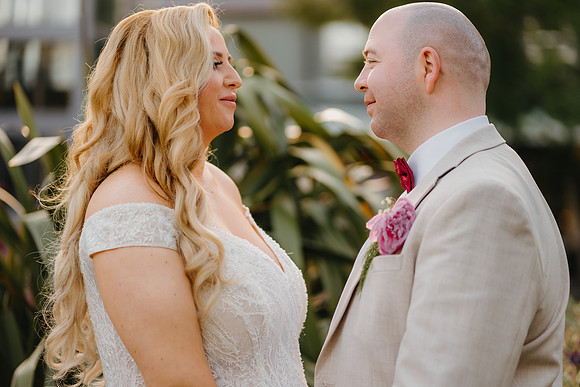 WEDD A + S-P-650