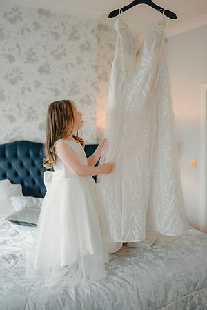 WEDD A + S-P-176