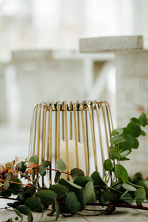 WEDD-79