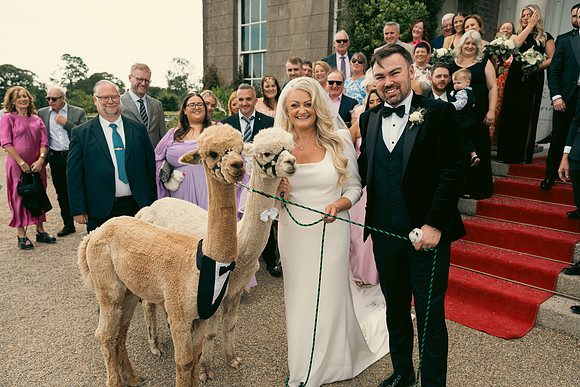 Helen & Fionn-710