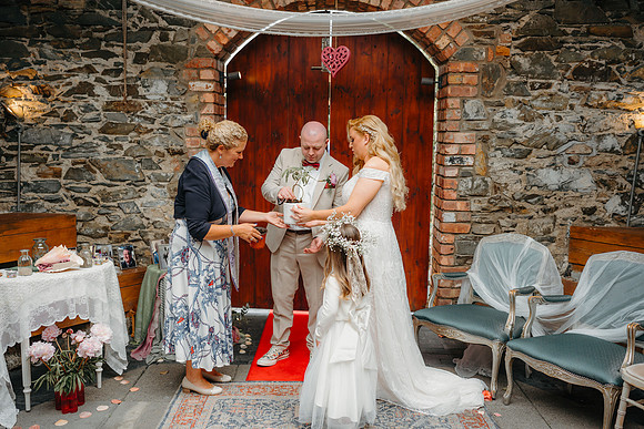 WEDD A + S-P-248