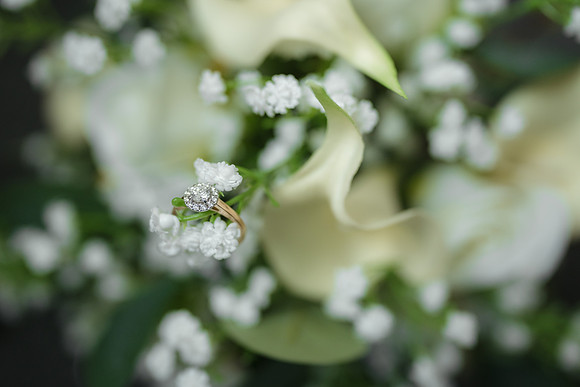WEDD T + S00011
