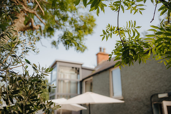 WEDD A + S-P-554