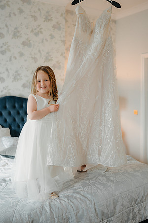 WEDD A + S-P-178