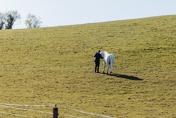 0R3A2279_DxO