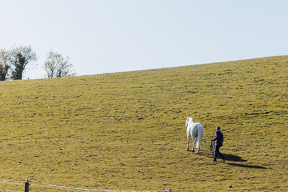 0R3A2270_DxO
