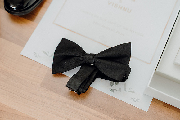 Joylin & Vishnu-3