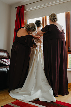 Wedd-131